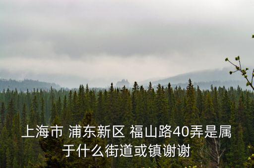上海市 浦東新區 福山路40弄是屬于什么街道或鎮謝謝