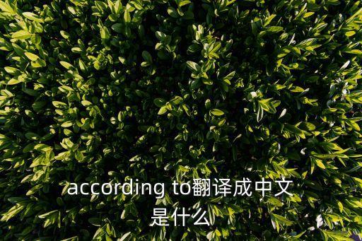 according to翻譯成中文是什么