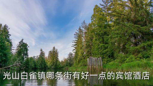 光山白雀鎮(zhèn)哪條街有好一點(diǎn)的賓館酒店