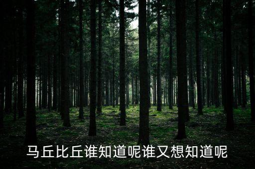 馬丘比丘誰知道呢誰又想知道呢