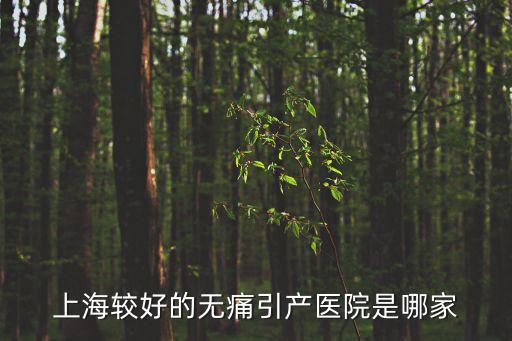 上海較好的無痛引產醫(yī)院是哪家
