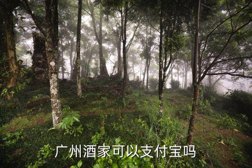 廣州酒家二維碼購買，廣州酒家可以支付寶嗎