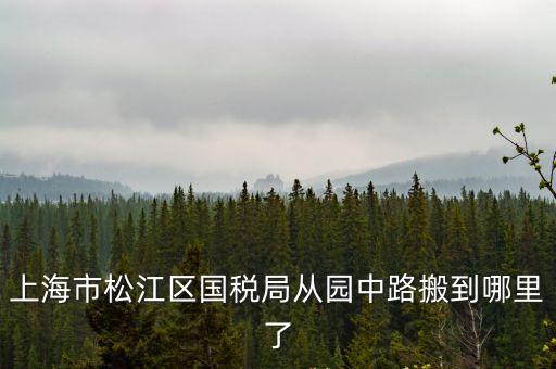上海市松江區國稅局從園中路搬到哪里了
