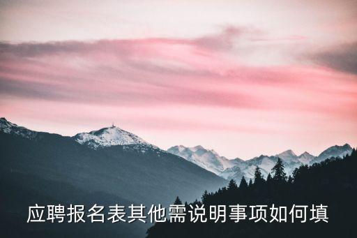 應聘表，應聘報名表其他需說明事項如何填
