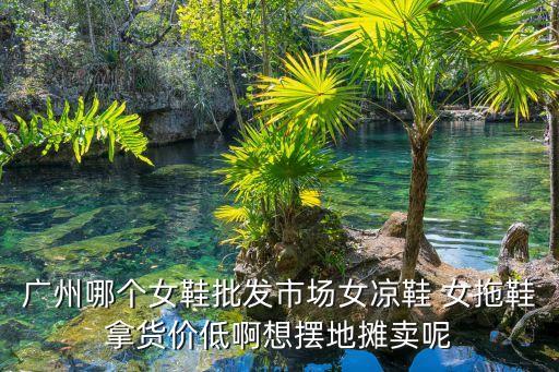 廣州哪個女鞋批發市場女涼鞋 女拖鞋拿貨價低啊想擺地攤賣呢
