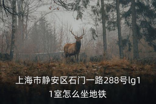 上海市靜安區石門一路288號lg11室怎么坐地鐵