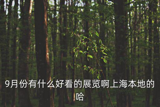 9月份有什么好看的展覽啊上海本地的哈