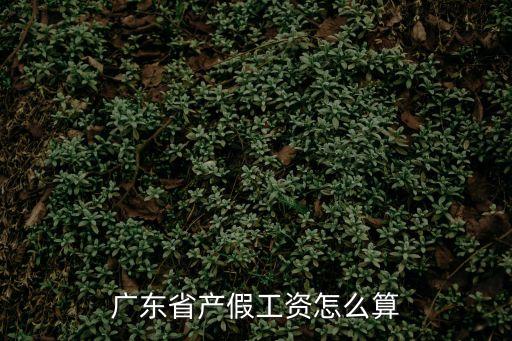 廣東省產(chǎn)假工資怎么算