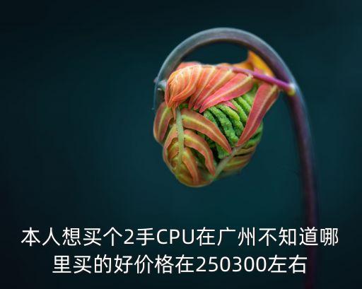 cpu去廣州哪里拿貨，電腦CPU在廣州哪里買更有保證