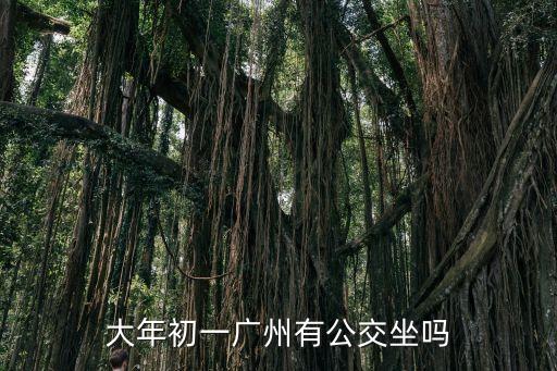 過年的廣州交通，大年初一廣州有公交坐嗎