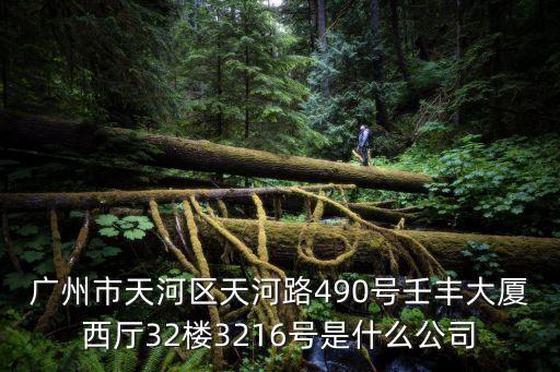廣州市天河區(qū)天河路490號壬豐大廈西廳32樓3216號是什么公司