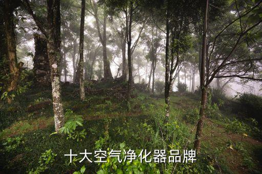 十大空氣凈化器品牌