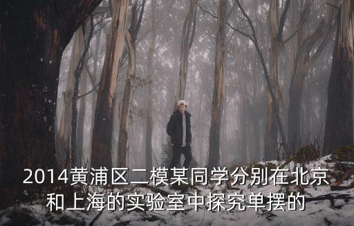 上海市2019黃浦區高中數學二模，去年上海市各區數學二模卷及答案