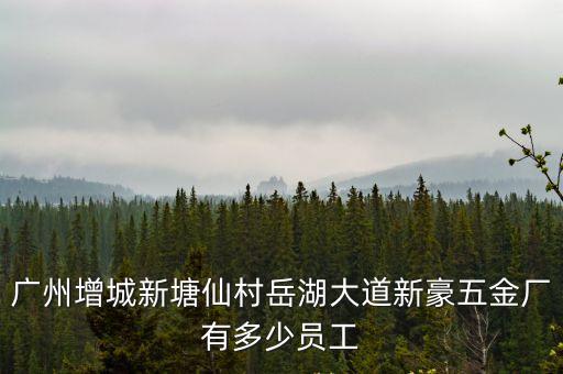 廣州新塘鎮仙村岳湖大道，廣州增城新塘仙村岳湖大道新豪五金廠有多少員工