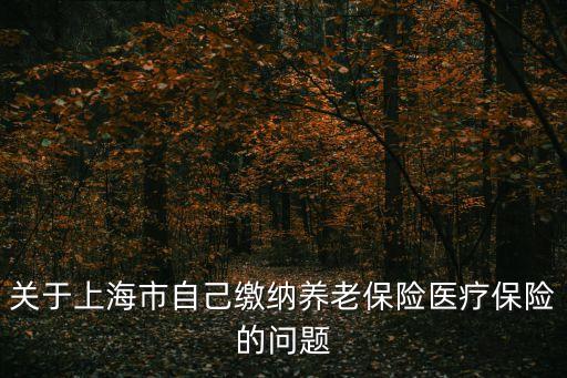 關于上海市自己繳納養老保險醫療保險的問題