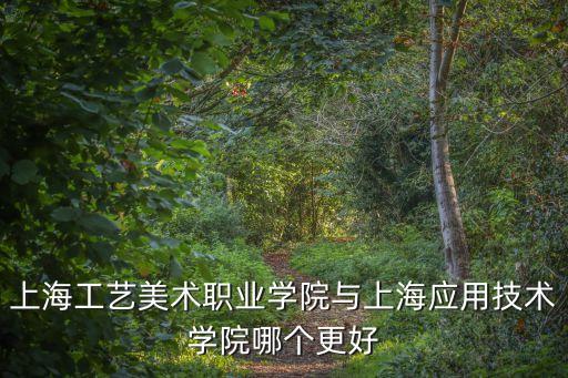 上海工藝美術職業學院與上海應用技術學院哪個更好