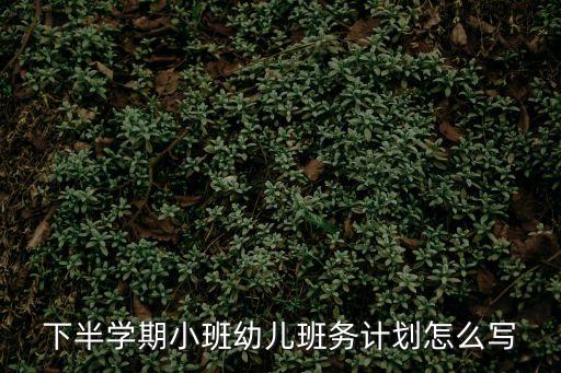 下半學期小班幼兒班務計劃怎么寫