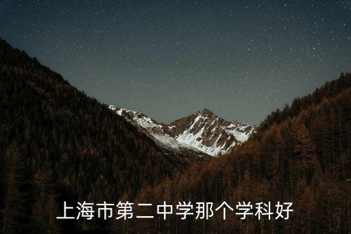 上海市第二中學那個學科好