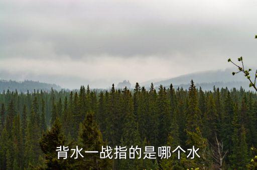 背水一戰(zhàn)什么意思，背水一戰(zhàn)的意思100字