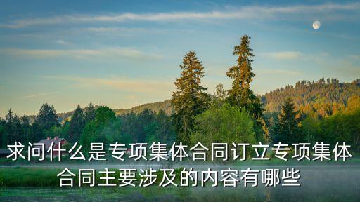 求問什么是專項集體合同訂立專項集體合同主要涉及的內容有哪些