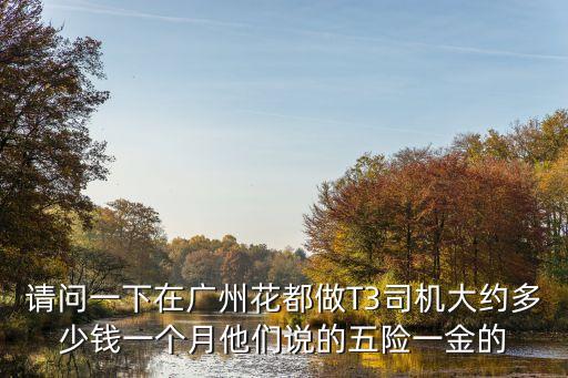 廣州t3出行推廣多少錢一單，派傳單 廣州這邊一般是多少錢一個鐘啊一般要做到什么程度車費有