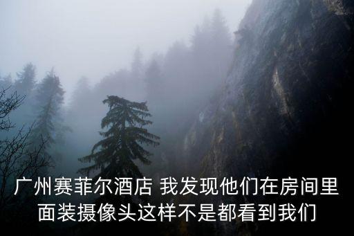 廣州賽菲爾酒店 我發現他們在房間里面裝攝像頭這樣不是都看到我們