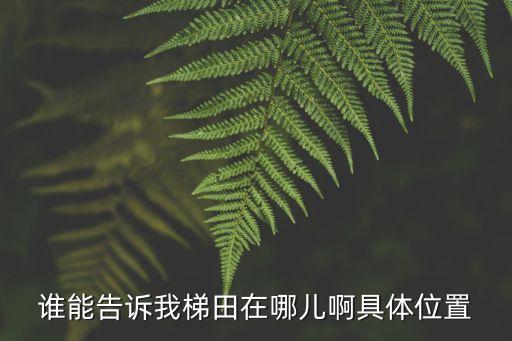 梯田在哪個地區，梯田在哪兒