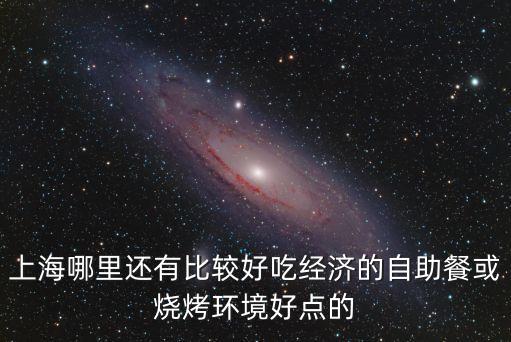 上海哪里還有比較好吃經(jīng)濟(jì)的自助餐或燒烤環(huán)境好點(diǎn)的
