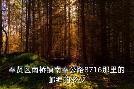 奉賢區南橋鎮南奉公路8716那里的郵編的多少