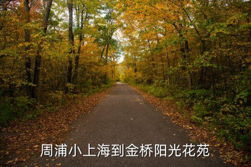 周浦小上海到金橋陽光花苑