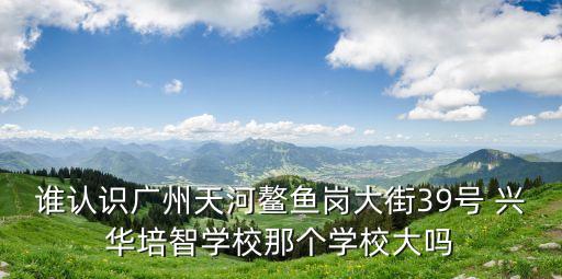 誰認識廣州天河鰲魚崗大街39號 興華培智學校那個學校大嗎