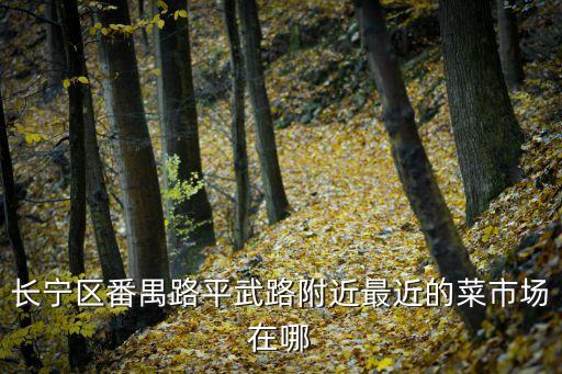 長寧區番禺路平武路附近最近的菜市場在哪