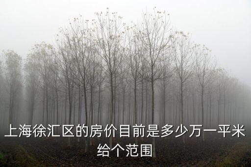 上海徐匯區的房價目前是多少萬一平米給個范圍