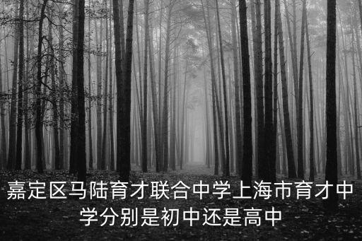 上海市育才聯合中學，聯合學校和育才學校那個好