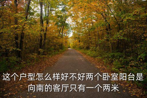 這個戶型怎么樣好不好兩個臥室陽臺是向南的客廳只有一個兩米