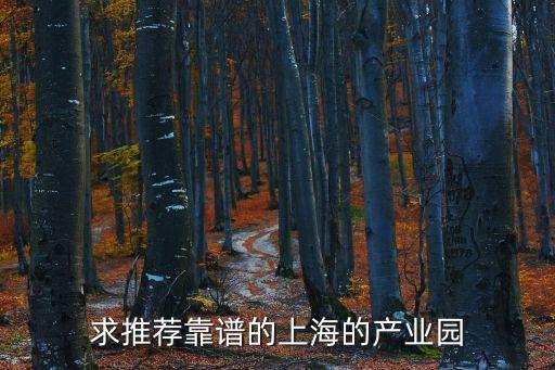 求推薦靠譜的上海的產業園