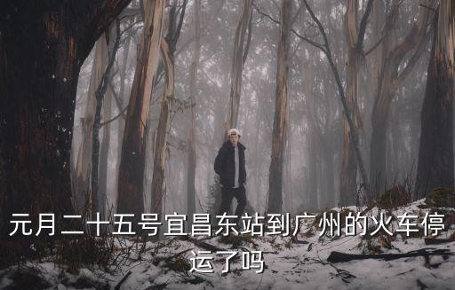 元月二十五號宜昌東站到廣州的火車停運了嗎
