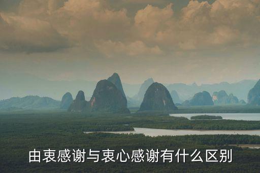 由衷感謝與衷心感謝有什么區別