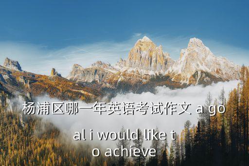 楊浦區哪一年英語考試作文 a goal i would like to achieve