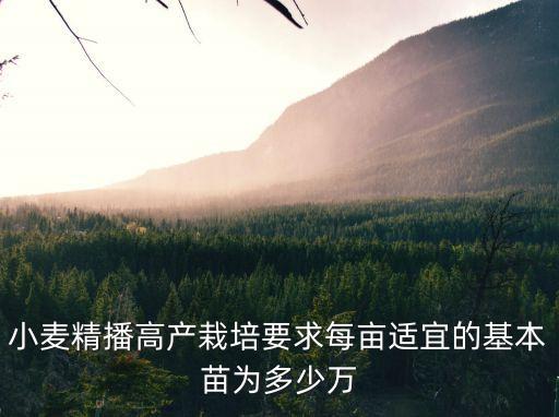 小麥精播高產栽培要求每畝適宜的基本苗為多少萬