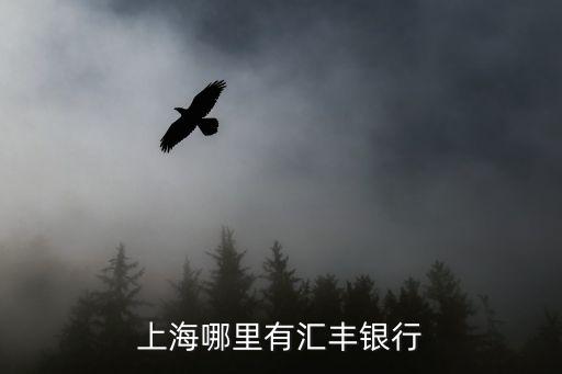 匯豐銀行地址上海市，誰知道香港上海匯豐銀行的地址