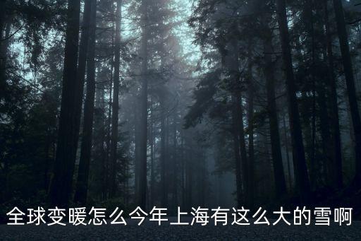 全球變暖怎么今年上海有這么大的雪啊