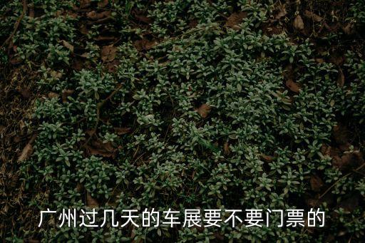 廣州過幾天的車展要不要門票的