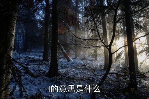 翻譯i，字母I代表什么意思哦
