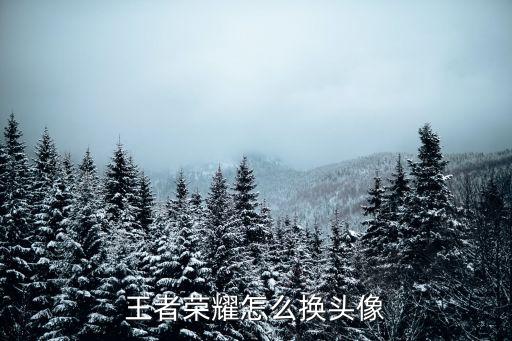 王者榮耀怎么換頭像