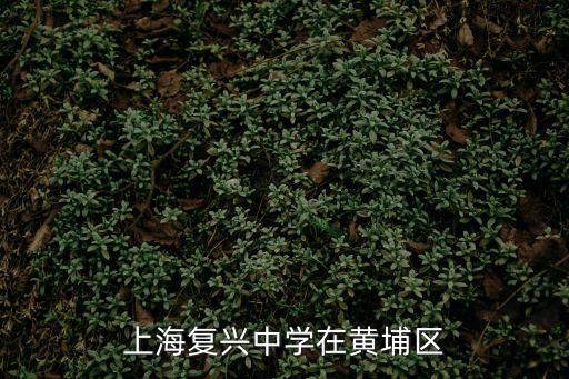 上海復興中學在黃埔區