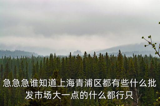 上海市青浦區貿易，上海青浦貿易城在哪