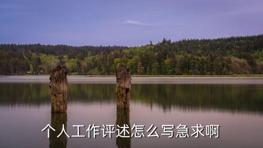 個人工作評述怎么寫急求啊
