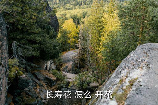 長壽花怎么養(yǎng)才開花，長壽花花都謝了如何養(yǎng)出開花