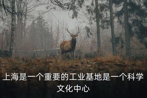 文化中心規劃上海市，上海是一個重要的工業基地是一個科學文化中心
